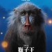 獅子王 (2D 粵語版)電影圖片 - FB_IMG_1559249769573_1559354171.jpg