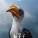 獅子王 (2D 粵語版)電影圖片 - FB_IMG_1559249772475_1559354169.jpg