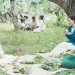 小三妻電影圖片 - TTW4_1563463206.jpg