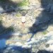 天氣之子電影圖片 - WeatheringWithYou_Visual_51_1563464253.jpg