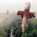 海報及劇照