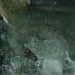 海報及劇照