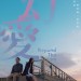 海報及劇照
