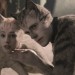 Cats (英語版)電影圖片 - 2485_T2F_00003_1574916237.jpg