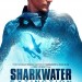 鯊魚海洋：滅絕 (Sharkwater Extinction)電影圖片1