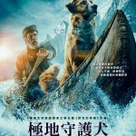 海報及劇照