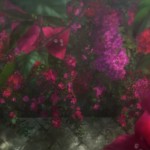 劇場版紫羅蘭永恆花園電影圖片 - Violetevergardenmovie_PV_22_1601170933.jpg