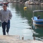 海報及劇照