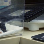 海報及劇照