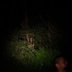 凶靈祭電影圖片 - still08.JPG_1630976268.jpg