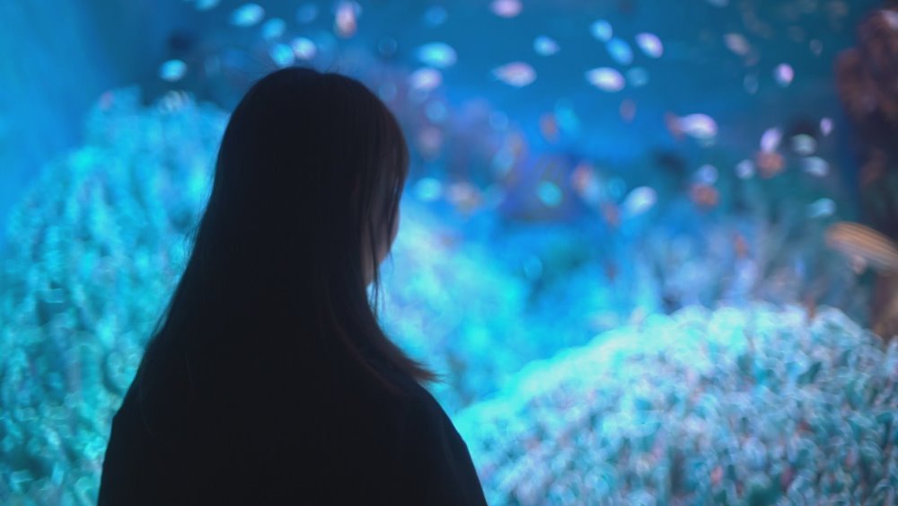 今敏：造夢大師電影圖片 - SATOSHIKON2CL_ILLUSIONNISTE_AQUARIUM_1633499272.jpg