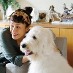 海報及劇照