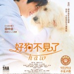 海報及劇照