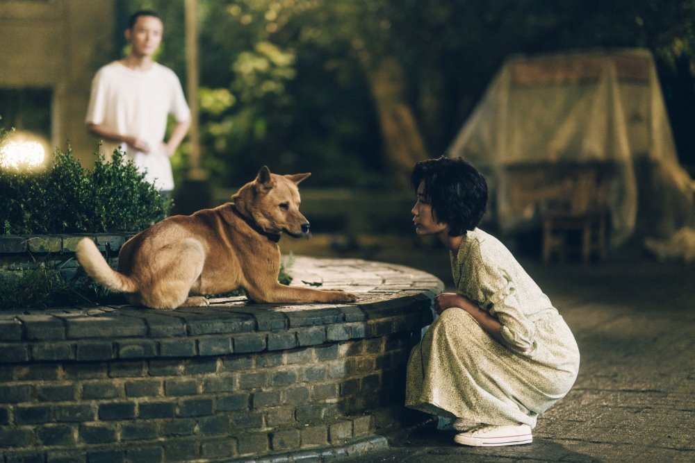 忠犬八公電影圖片 - Hachiko_Stills10_1680958206.jpg