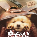 忠犬八公 (Hachiko)電影圖片1