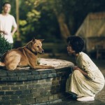 忠犬八公 (Hachiko)電影圖片3