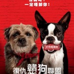 復仇戇狗聯盟 (Strays)電影圖片1