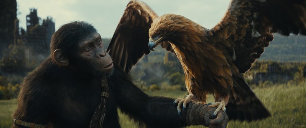 猿人爭霸戰：猩凶帝國電影圖片 - KingdomofthePlanetoftheApes_Still1.jpeg_1699233877.jpg