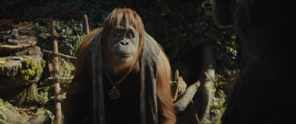 猿人爭霸戰：猩凶帝國電影圖片 - KingdomofthePlanetoftheApes_Still2.jpeg_1699233877.jpg