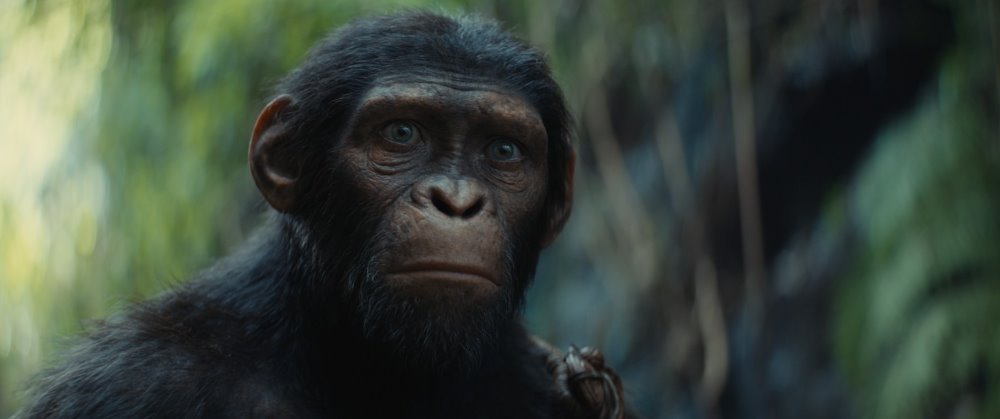 猿人爭霸戰：猩凶帝國電影圖片 - KingdomofthePlanetoftheApes_Still4.jpeg_1699233878.jpg