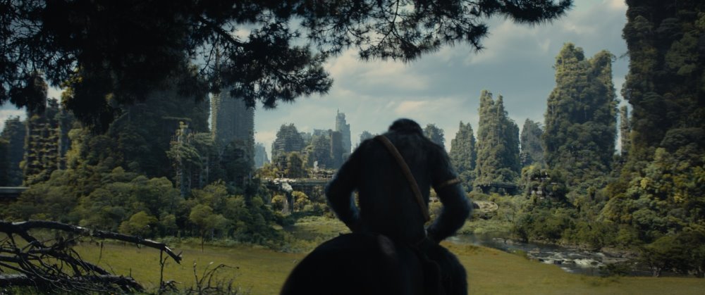 猿人爭霸戰：猩凶帝國電影圖片 - KingdomofthePlanetoftheApes_Still5.jpeg_1699233878.jpg