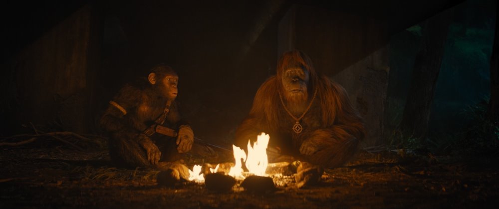 猿人爭霸戰：猩凶帝國電影圖片 - KingdomofthePlanetoftheApes_Still7.jpeg_1699233879.jpg