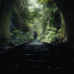 猿人爭霸戰：猩凶帝國電影圖片 - KingdomofthePlanetoftheApes_Still3.jpeg_1699233878.jpg