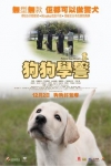 狗狗學警電影海報