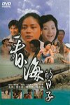 看海的日子 (A Flower in the Rainy Night)電影海報