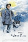 雪地黃金犬電影海報