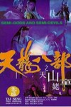 新天龍八部之天山童姥電影海報