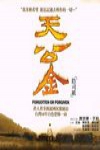 天公金電影海報