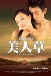 美人草電影海報