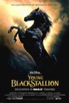 黑神駒前傳 (The Young Black Stallion)電影海報