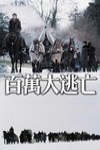 百萬大逃亡電影海報