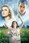 把愛找回來電影海報
