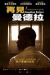 再見曼德拉電影海報
