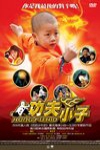 功夫小子電影海報