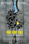 檸檬樹電影海報