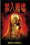 禁入廢墟電影海報