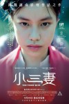 小三妻電影海報