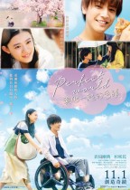 Perfect World～與他一起的奇蹟～ (Perfect World)電影海報