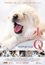小Q (Little Q)電影海報