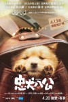 忠犬八公電影海報
