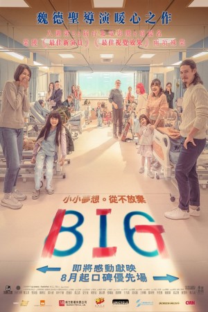 BIG 816電影海報