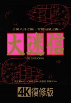 大迷信 (The Supernormal)電影海報