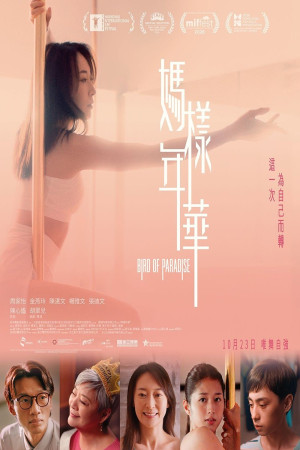 媽樣年華電影海報