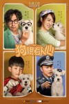狗眼看人心電影海報
