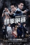 棋拳風暴電影海報