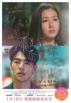 不是你不愛你 (Love at First Lie)電影海報